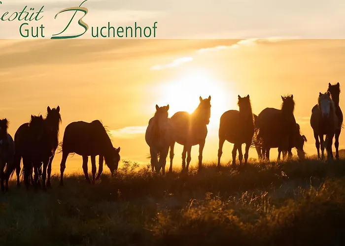 Daire Herrenhaus Gut Buchenhof